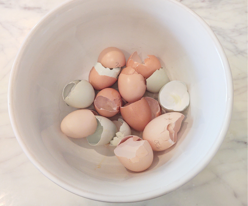 Egg shells in bowl