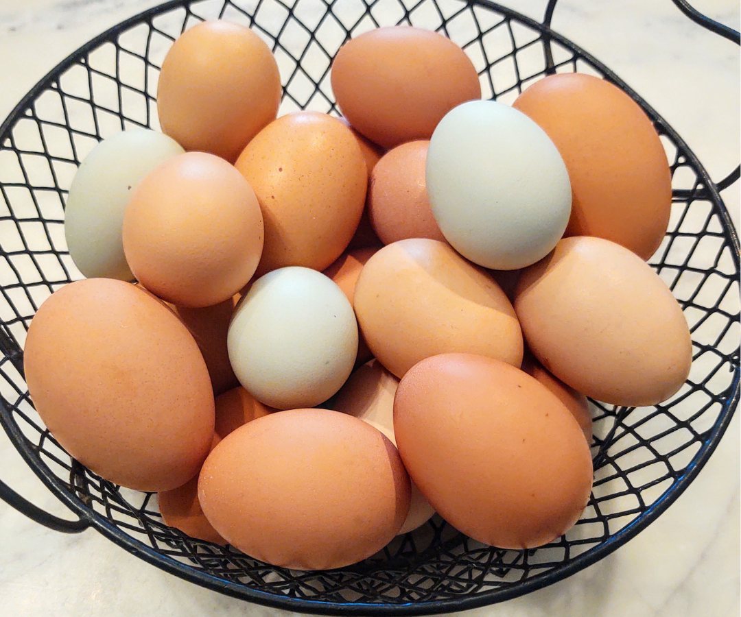 Basket of different color eggs