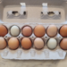 Carton of colorful chicken eggs