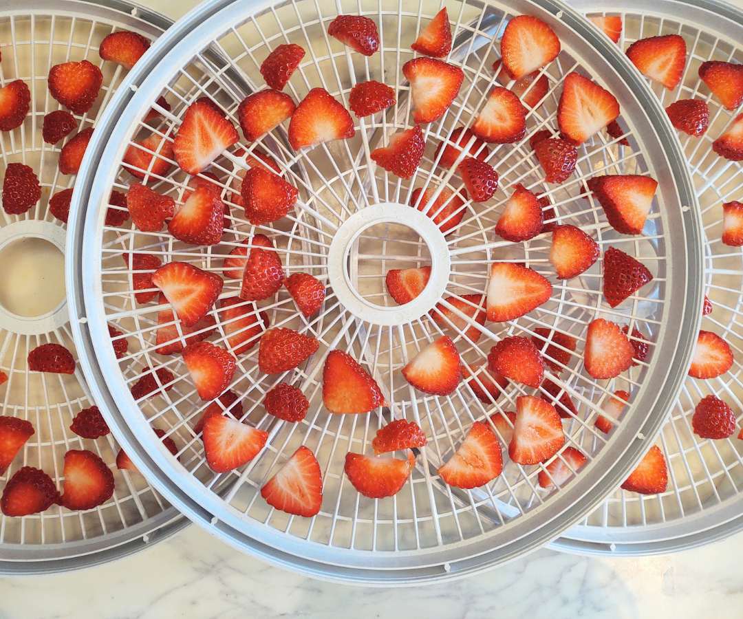 Strawberries sliced on dehydrator tray