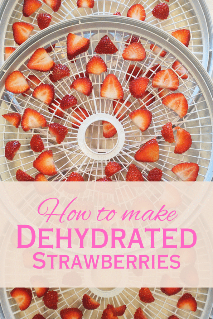 dehydrated strawberries pin