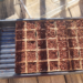 indoor seed tray almost full