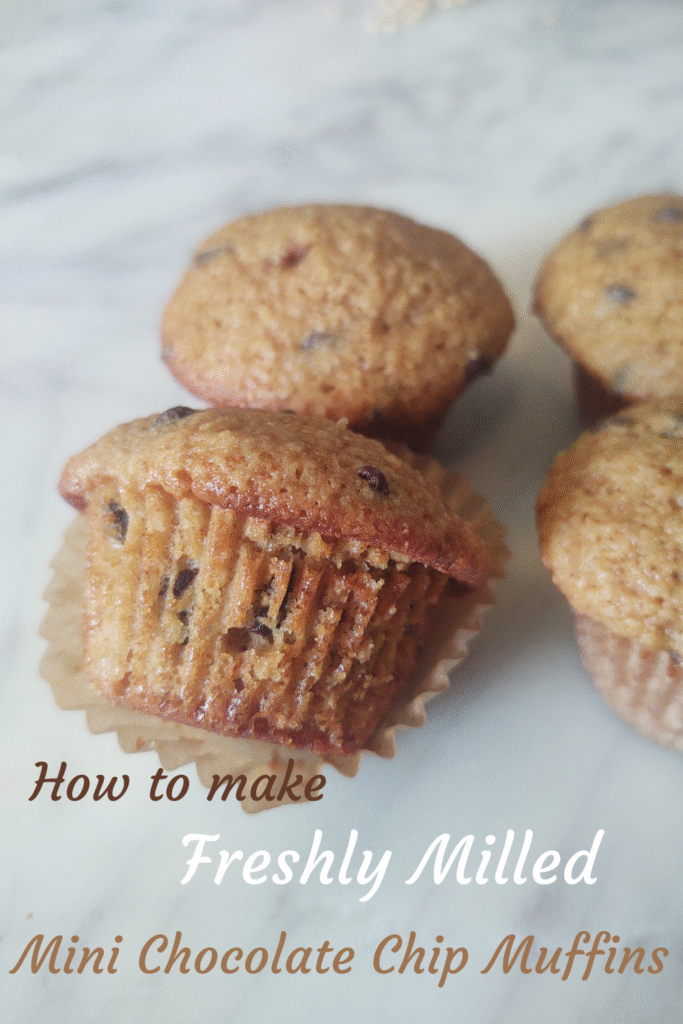 how to make mini muffins pin
