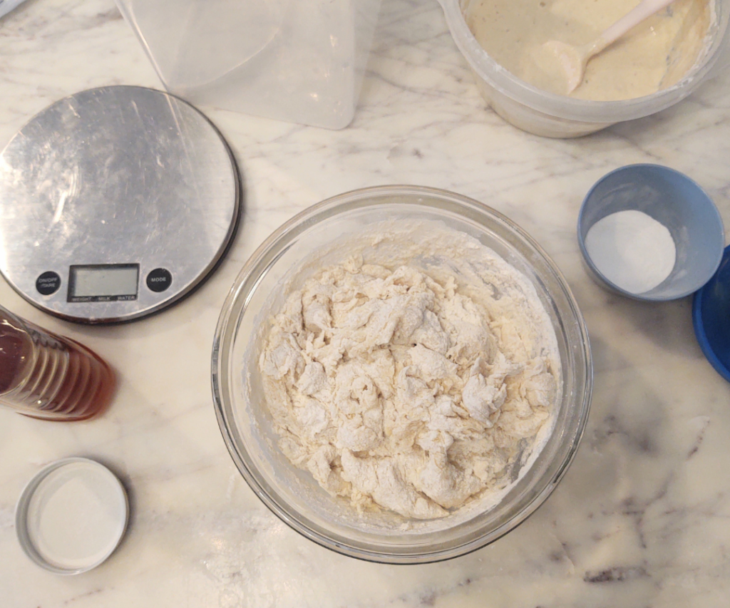 starting sourdough cinnamon roll dough