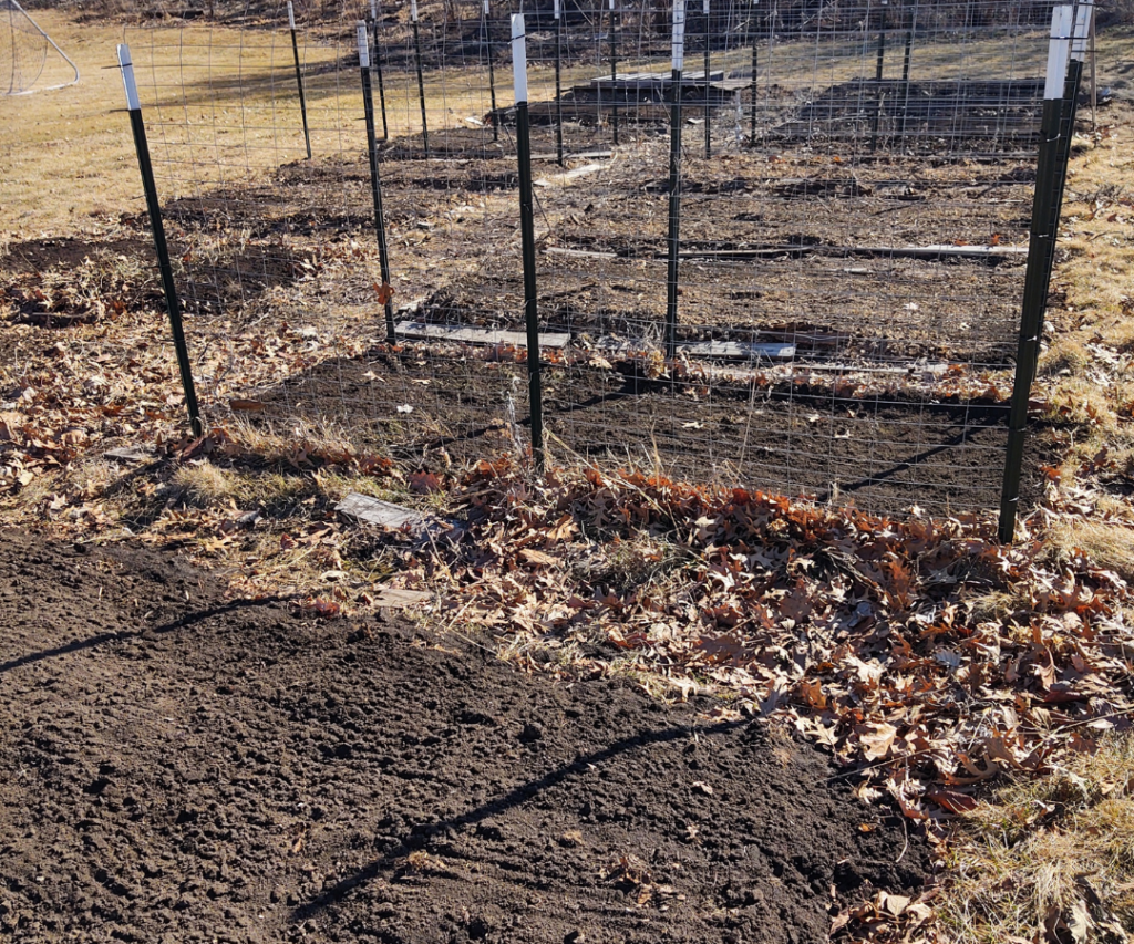 corner view garden bed
