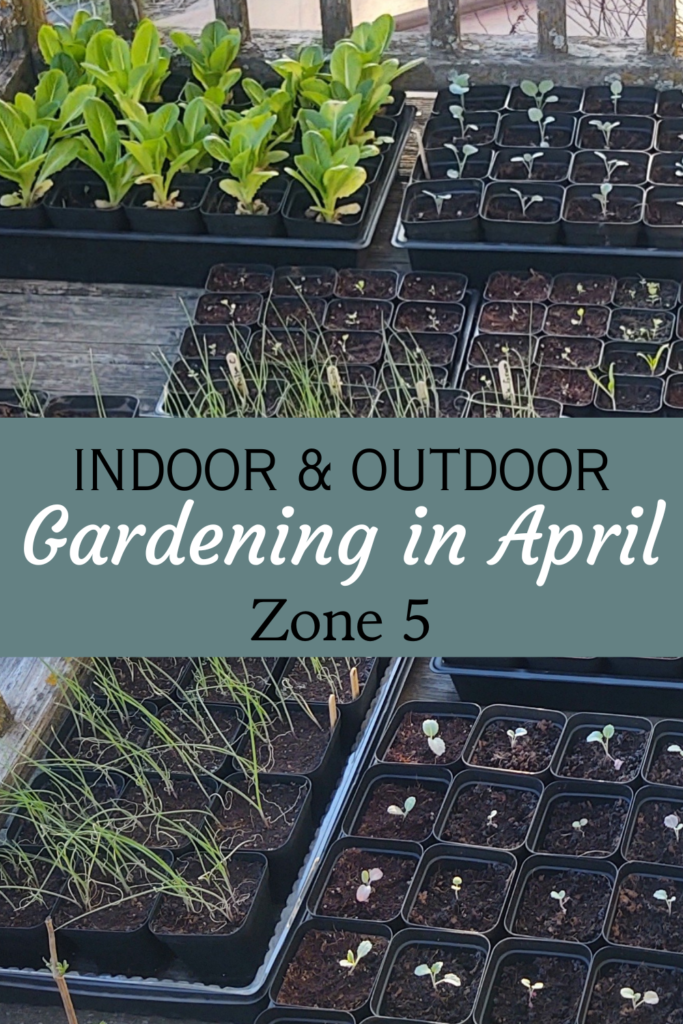 gardening in April pin