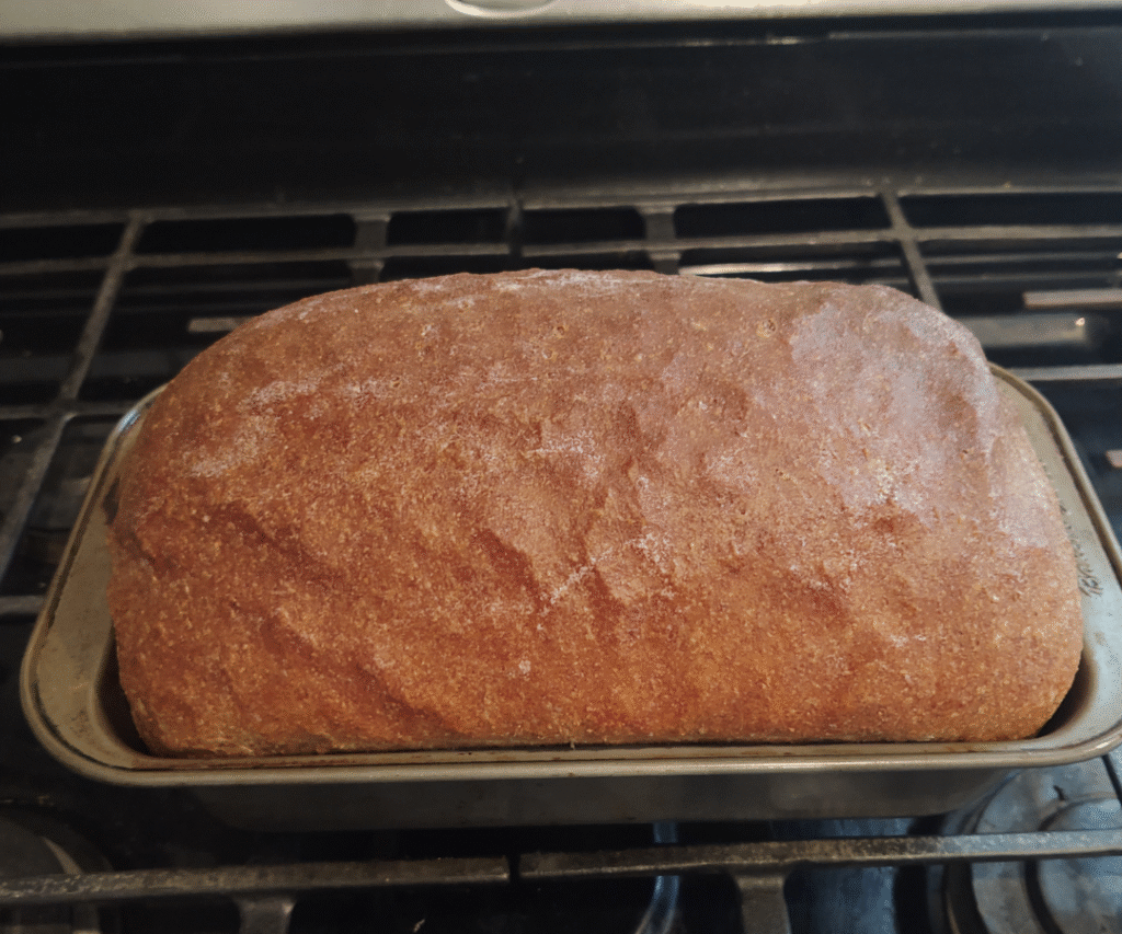 baked and buttered sourdough sandwich bread