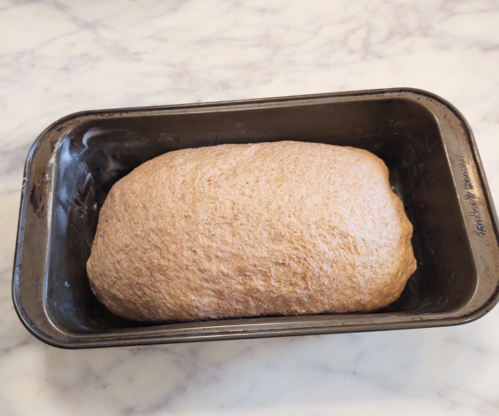 sourdough in loaf