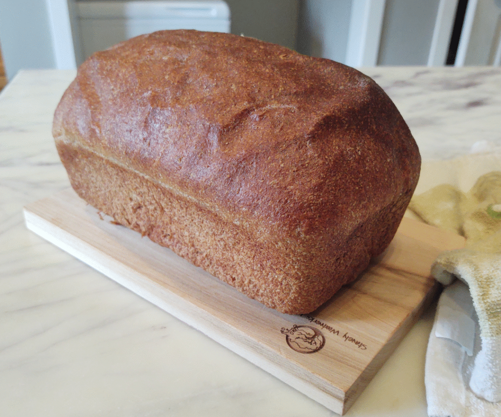 sourdough sandwich bread with hard red wheat berries