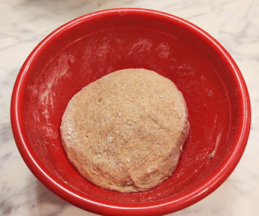 sourdough starting to form