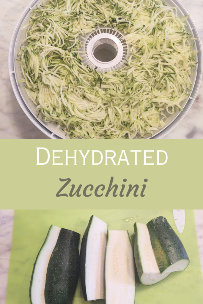 dehydrated zucchini pin