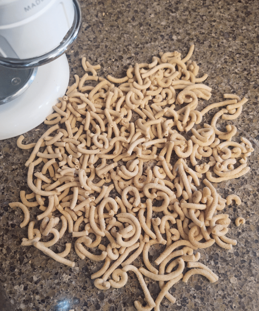 fresh pasta bucatini