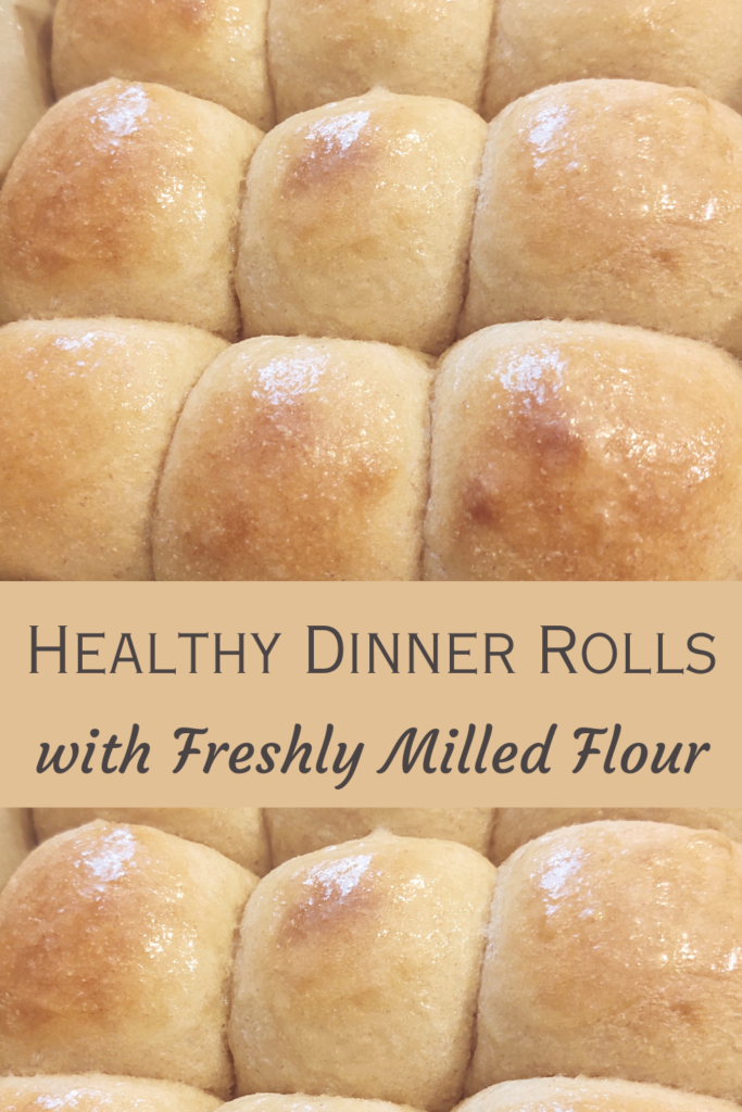 healthy dinner rolls pin
