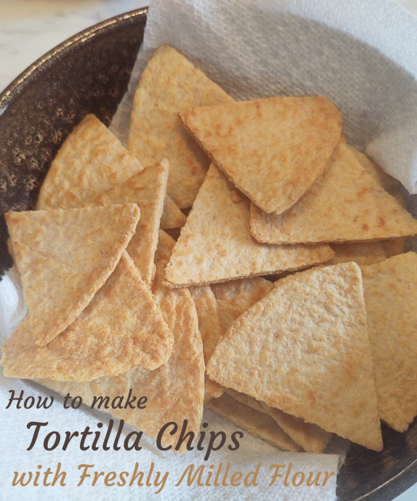 freshly milled tortilla chips pin