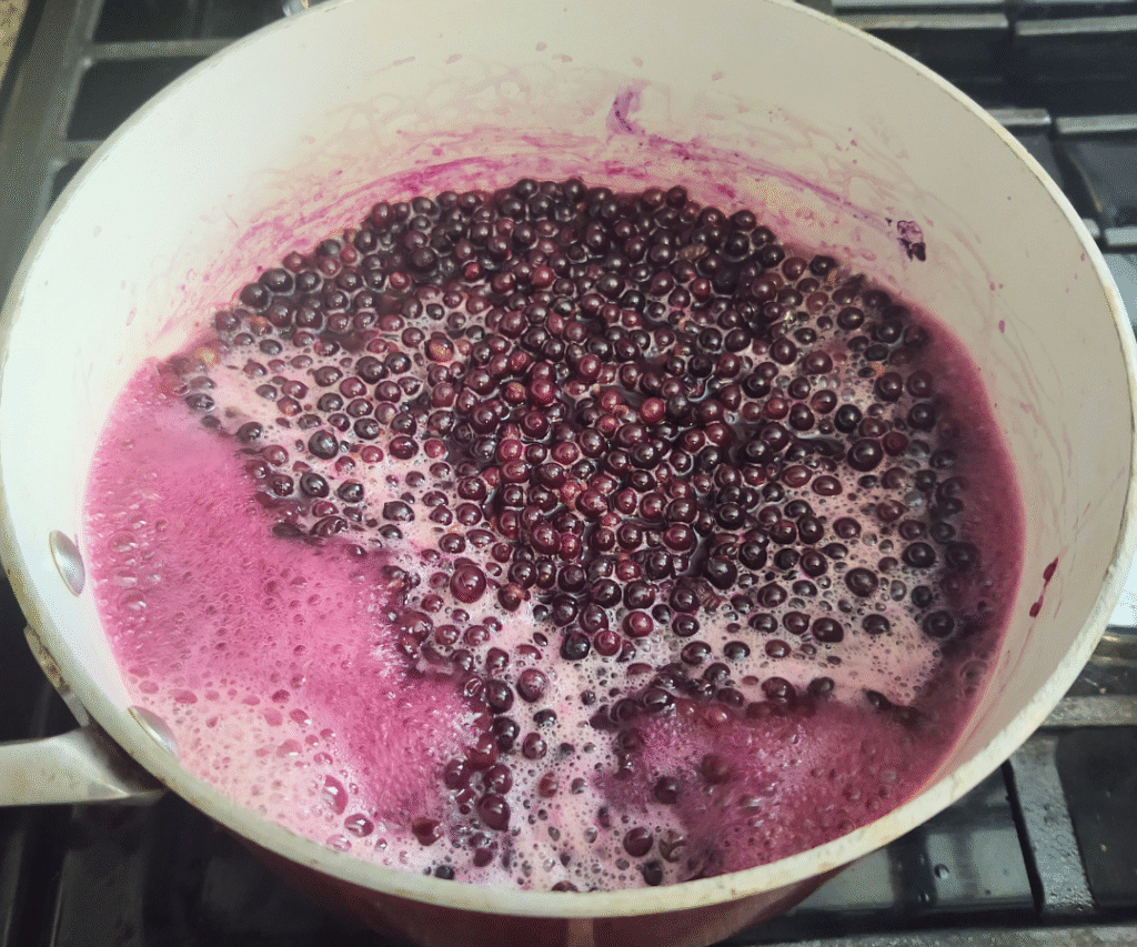 boiling elderberries