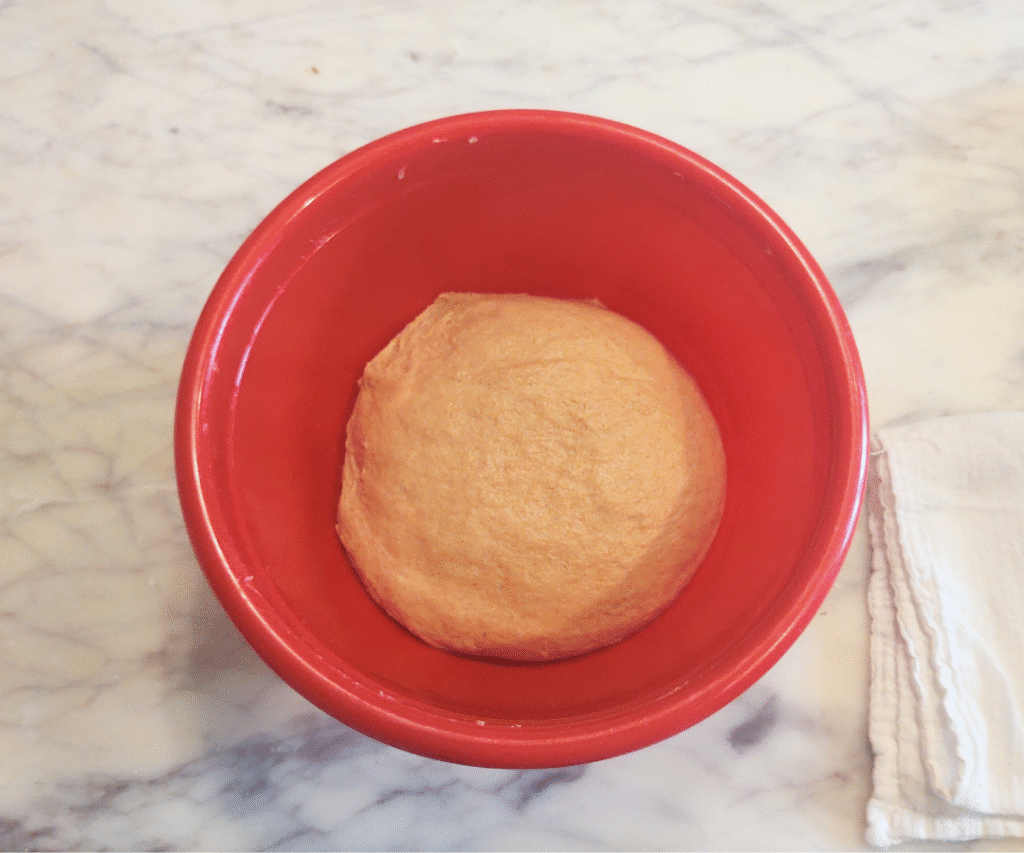 dough formed and ready to rise