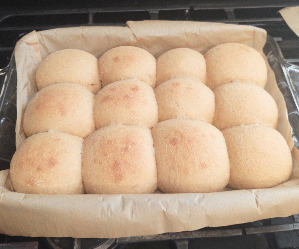 hard wheat yeast rolls baked