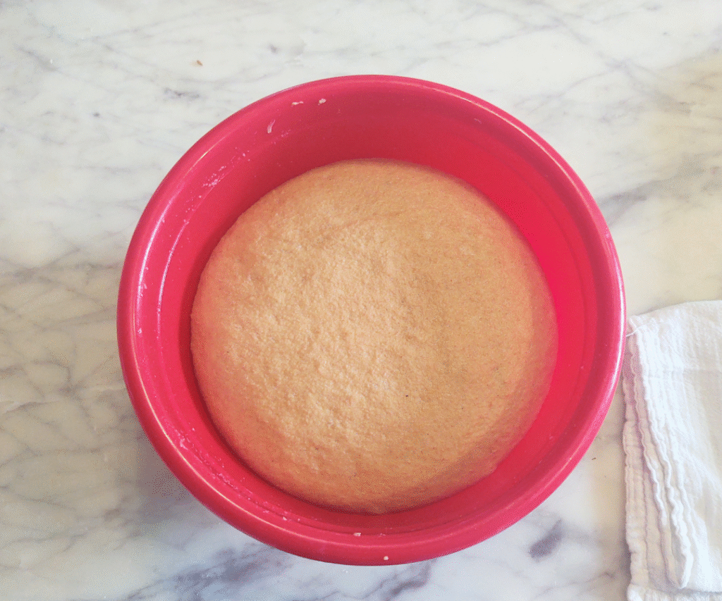 risen hard wheat yeast dough