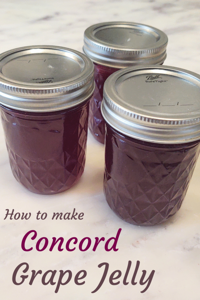 concord grape jelly 3