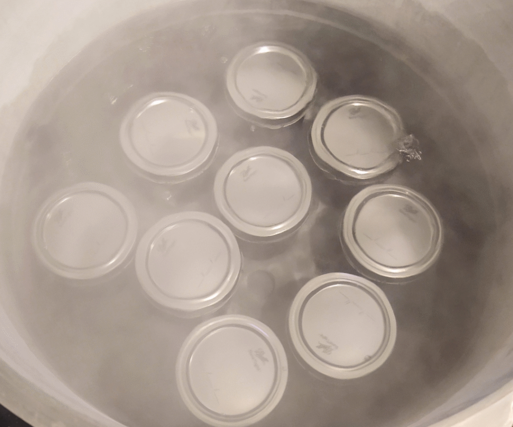 boiling concord grape jelly jars