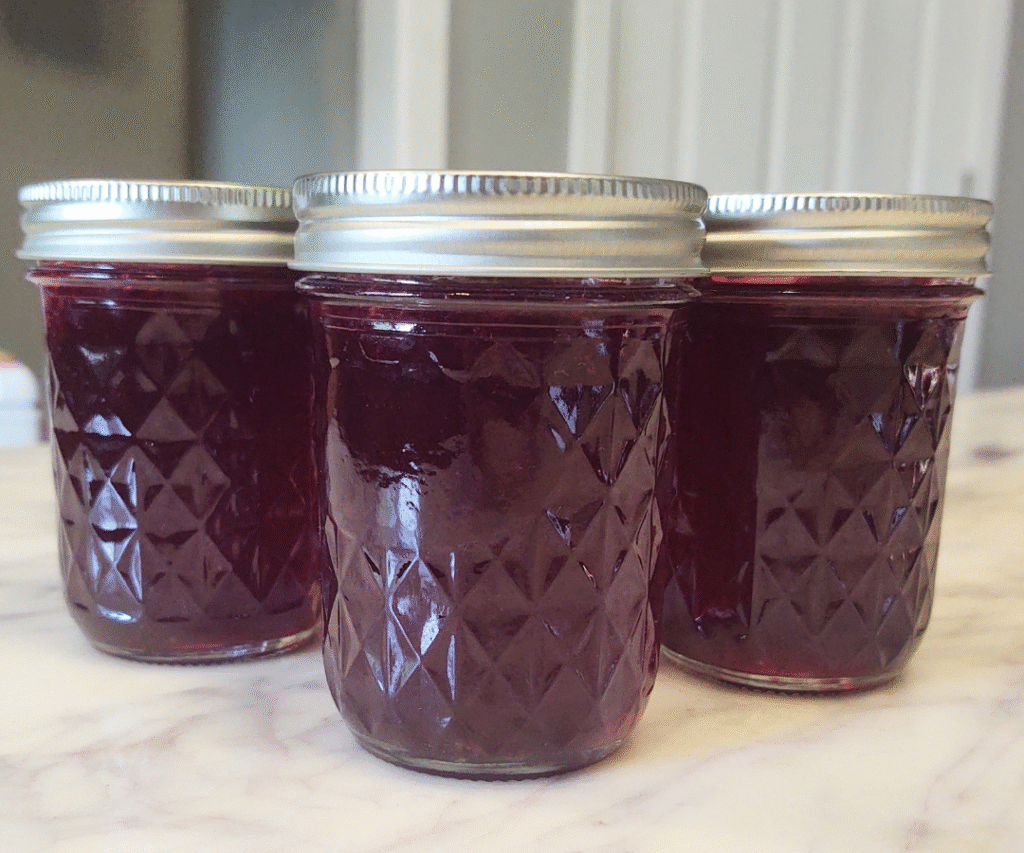 concord grape jelly jars