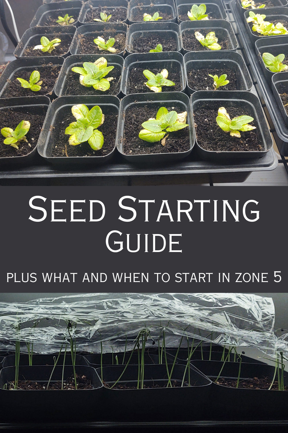 seed starting guide pin