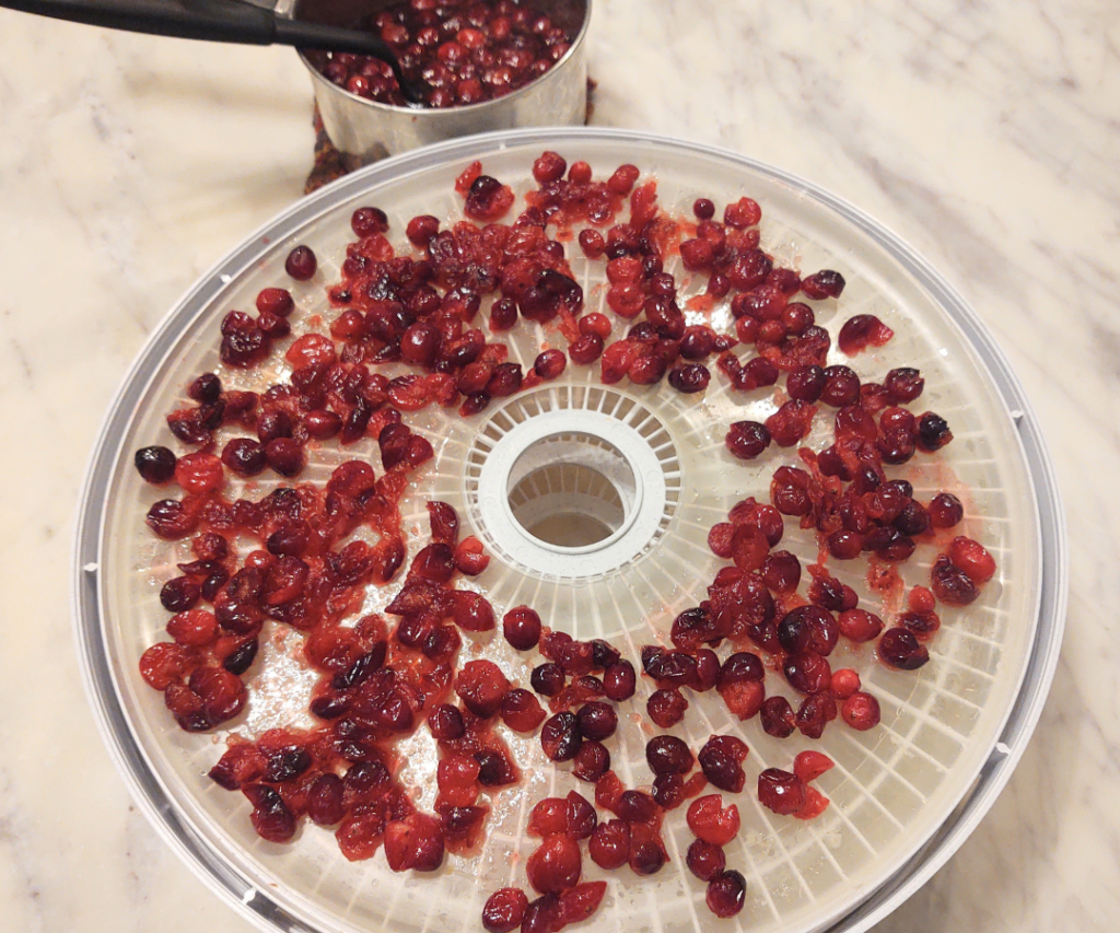 cranberries on dehydrator tray
