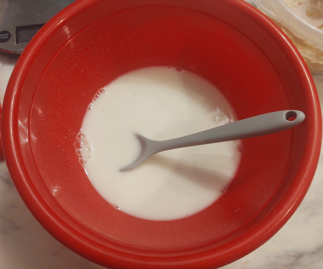 sourdough, water and salt