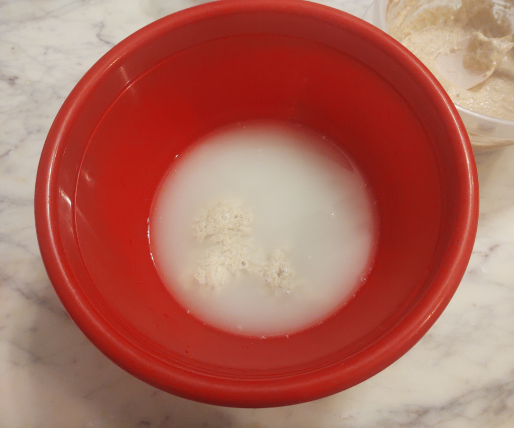 sourdough and water in bowl