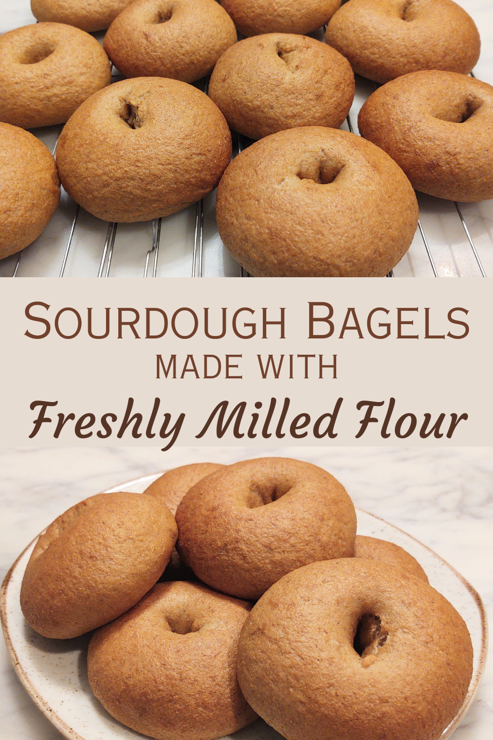 freshly milled sourdough bagels pin