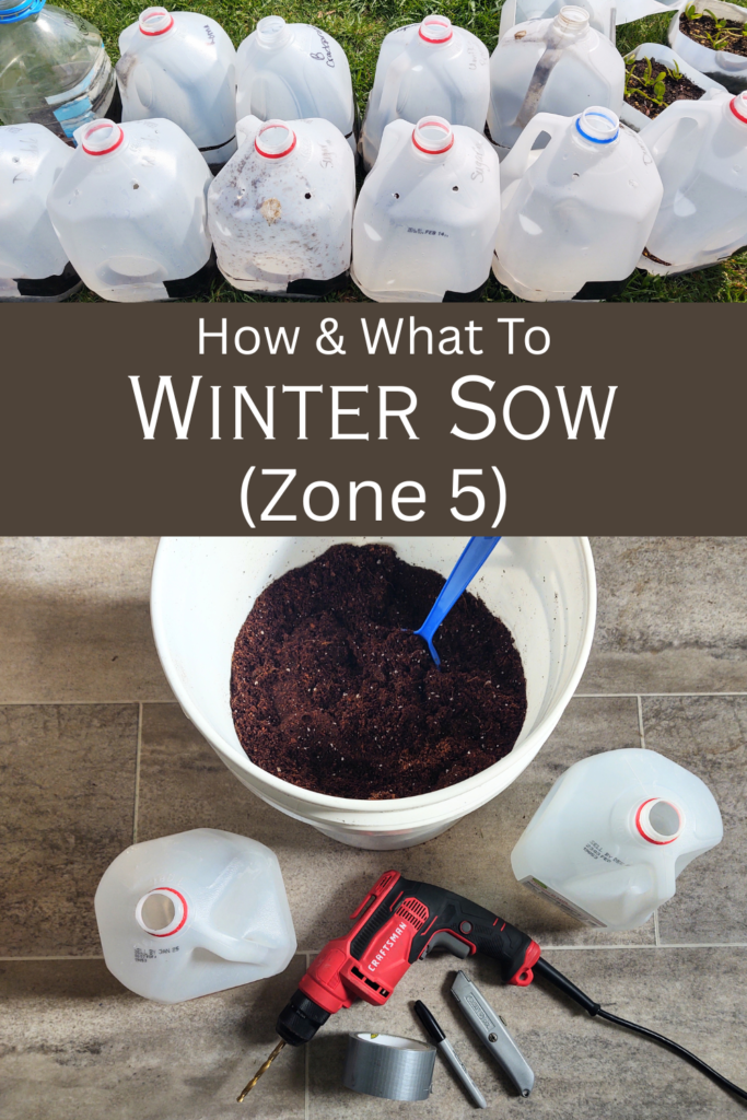 how to winter sow pin