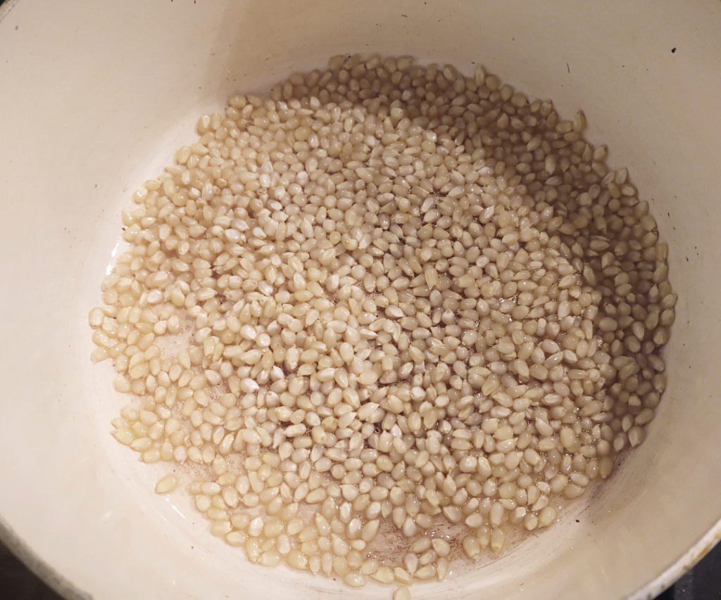 un-popped popcorn seeds in pan