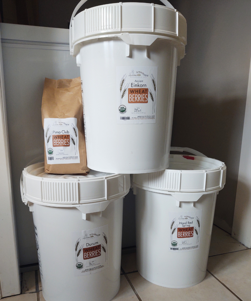 buckets of wheat berries