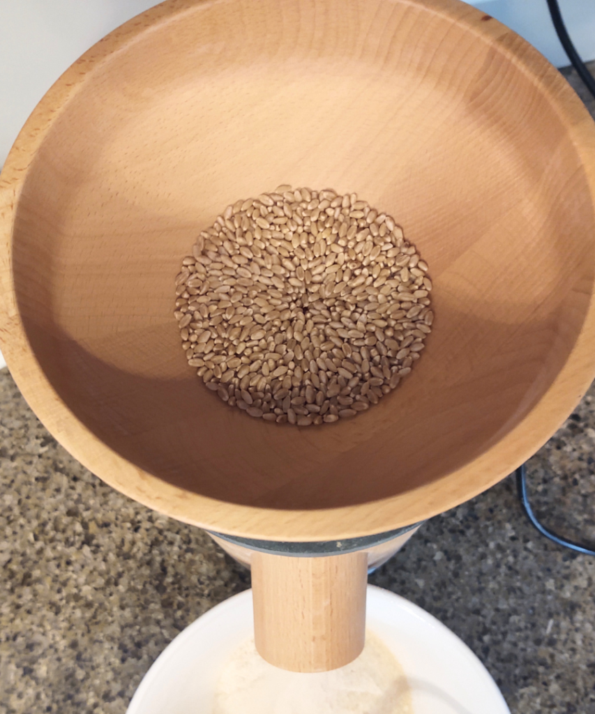 top view milling wheat berries