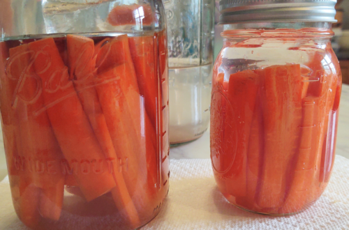 side view lacto fermented carrots