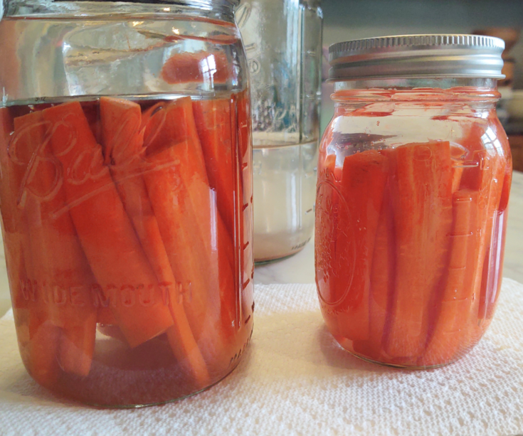 side view lacto fermented carrots
