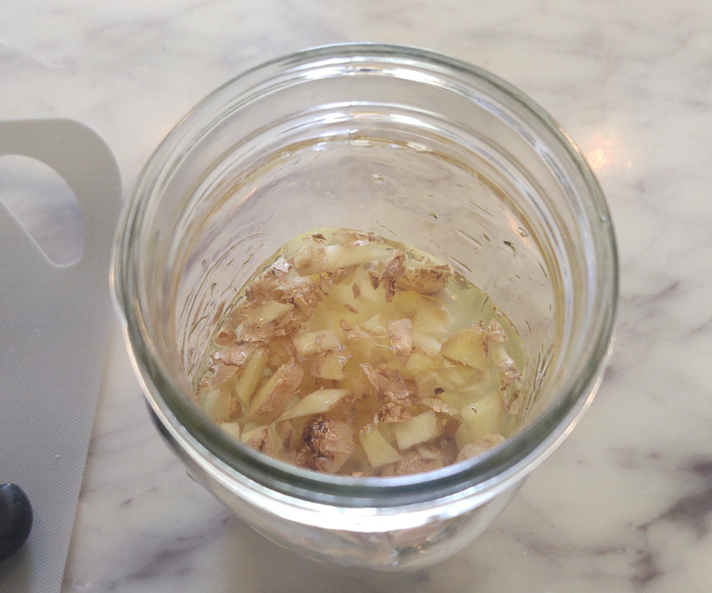 starting ginger bug