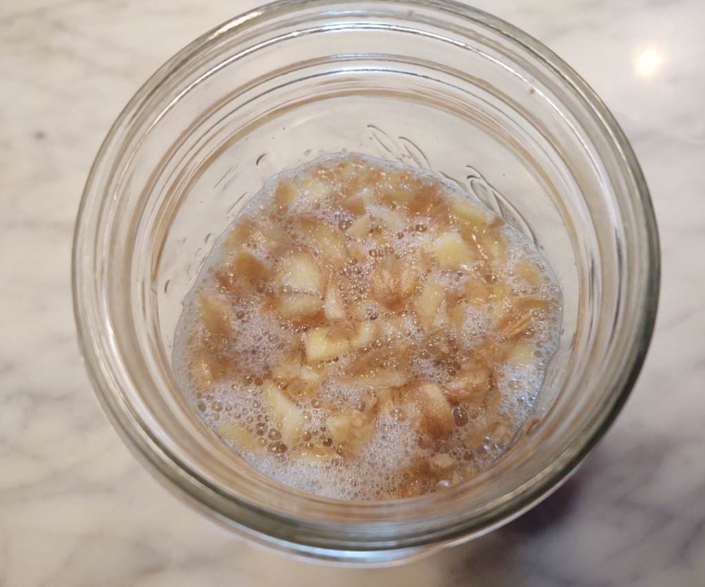 top view bubbles in ginger bug