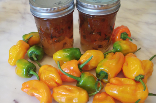 two mango pepperoncini jellies