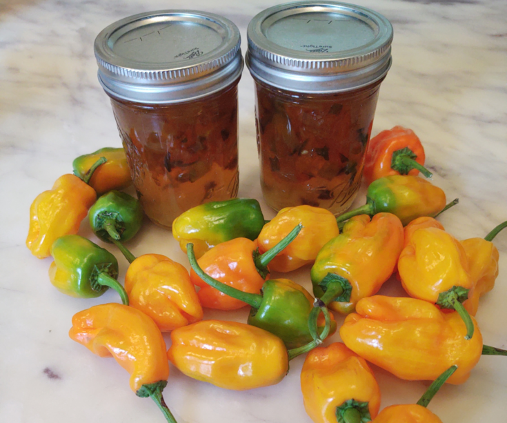 two mango pepperoncini jellies